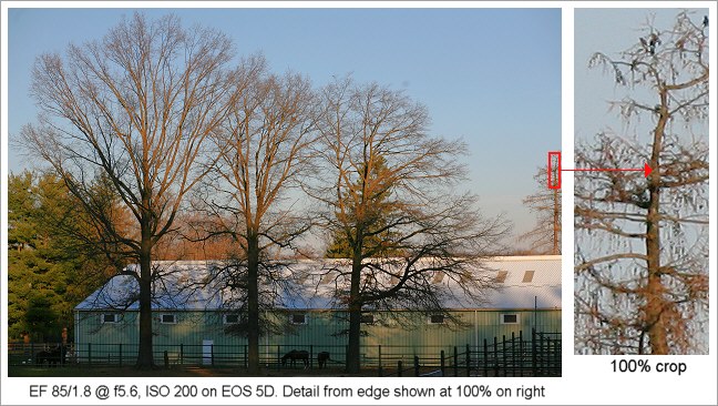 Canon EF 85/1.8 USM Review